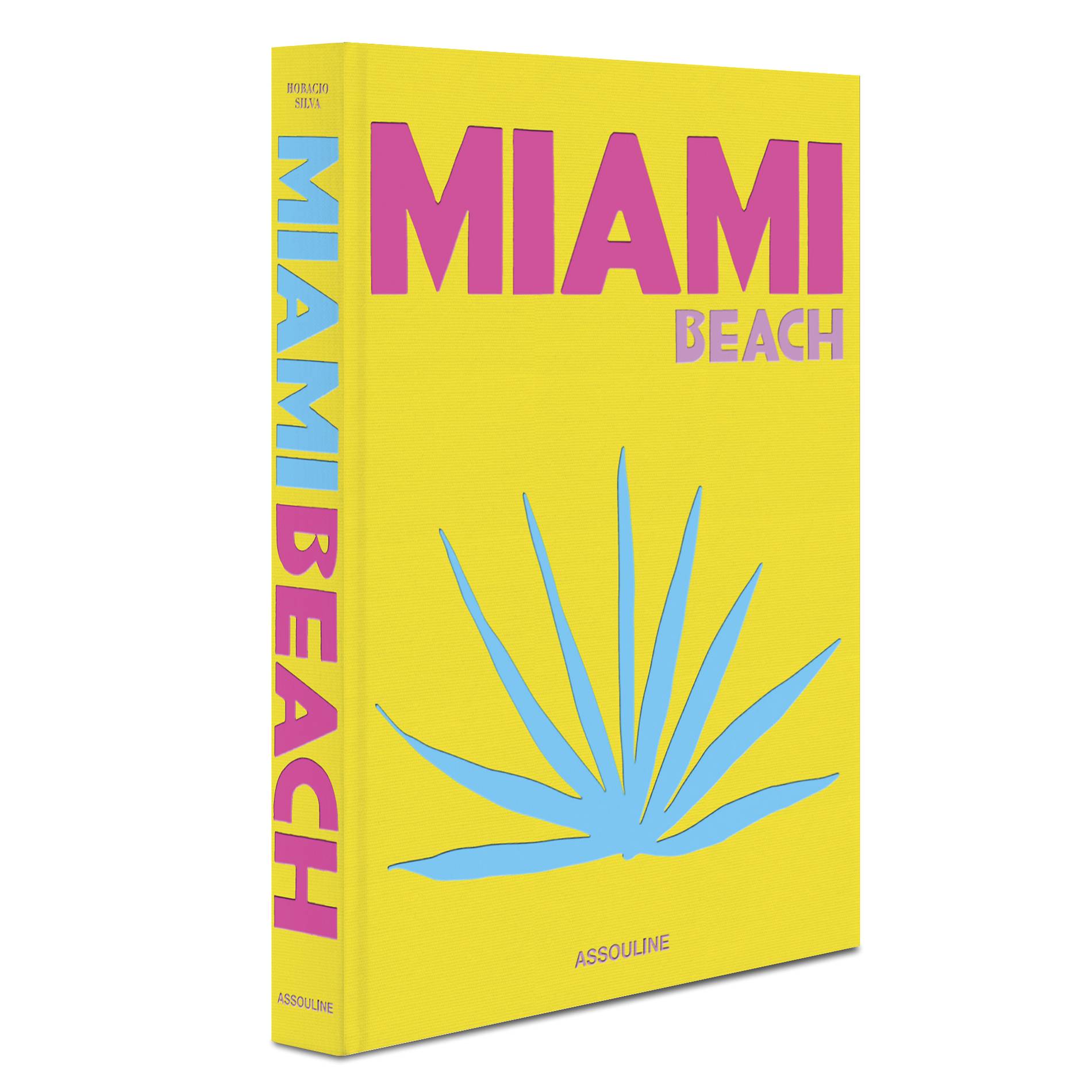 Miami Cover high res